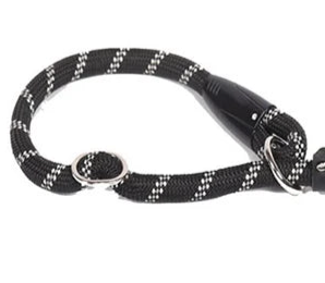 Rope dog collar and leash