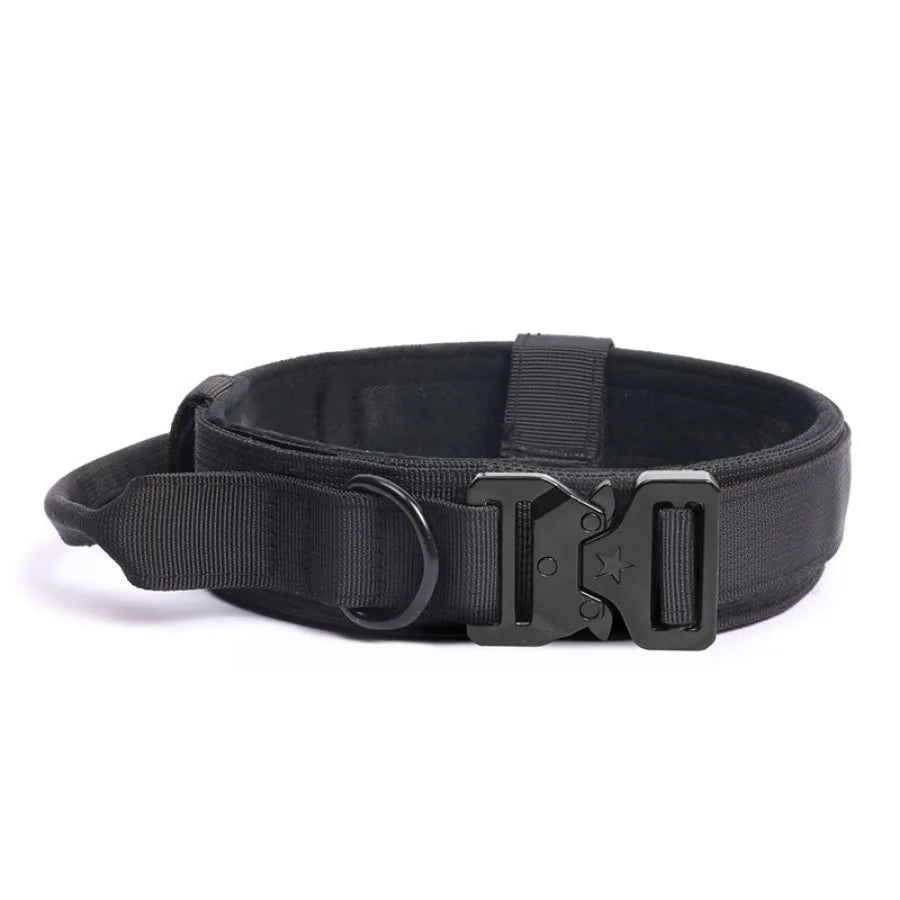 Flat dog collar