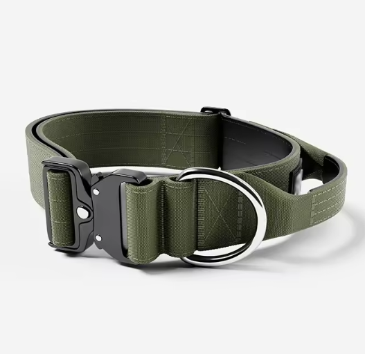 Medium dog collar