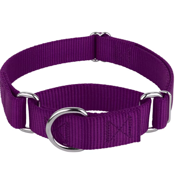 Martingale collar for small dogs