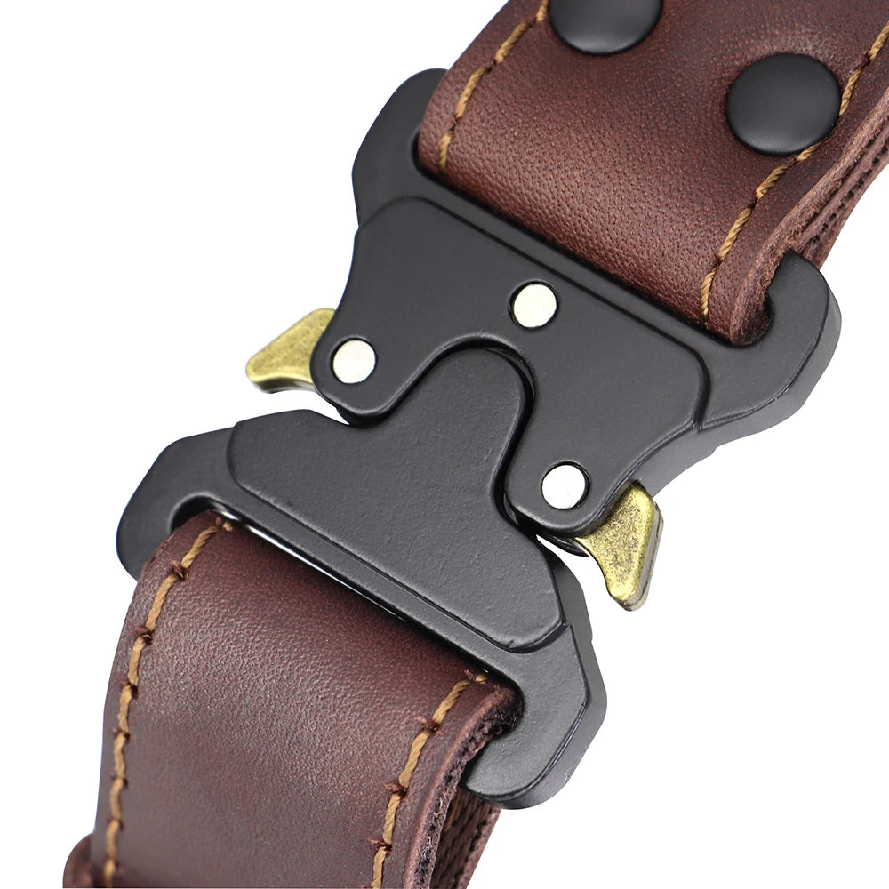 Leather dog collar quick release