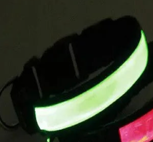 Waterproof light up dog collar