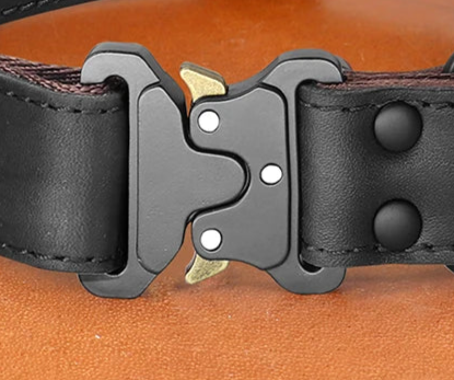 Leather dog collar with handle