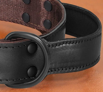 Leather dog collar with handle