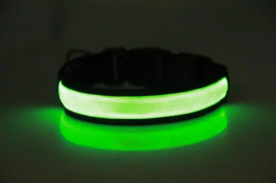 Waterproof light up collar