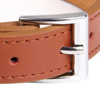 Brown leather dog collar