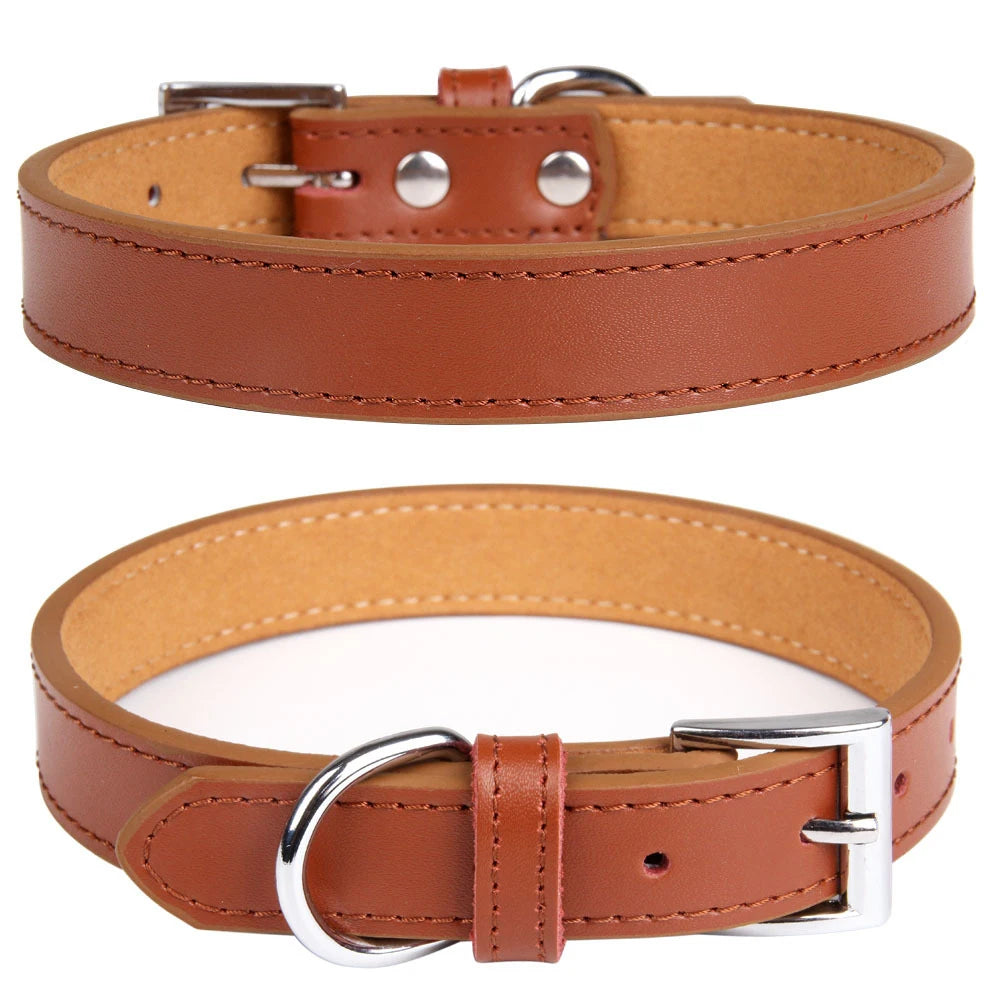 Brown leather dog collar