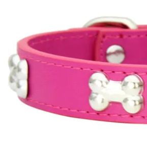 Hot pink leather dog collar