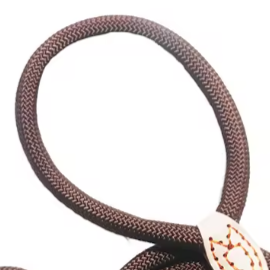 Brown dog collar and lead