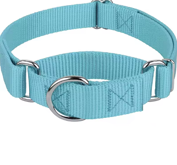 Teal martingale dog collar