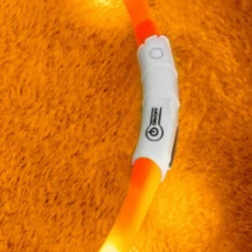 Light up puppy collar