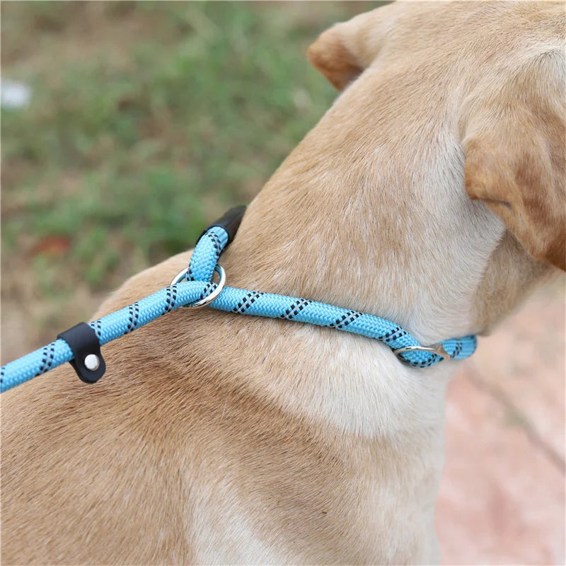 Rope chocker dog collar