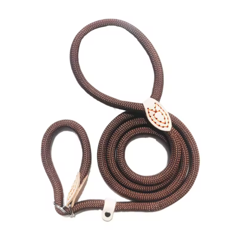 Brown dog collar and lead