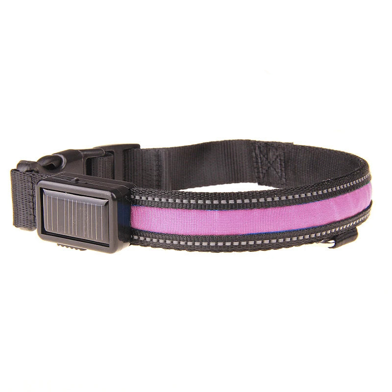 Pink light up dog collar