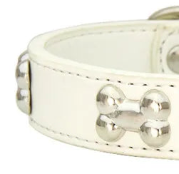 White leather dog collar