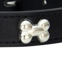 XS leather dog collar