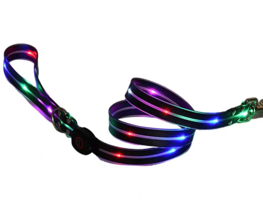 LED dog collar and leash