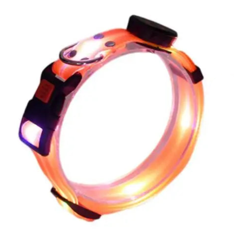 USB rechargeable light up dog collar