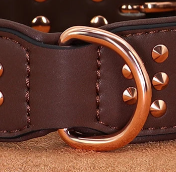 Wide leather dog collar