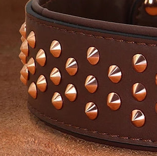 Wide leather dog collar