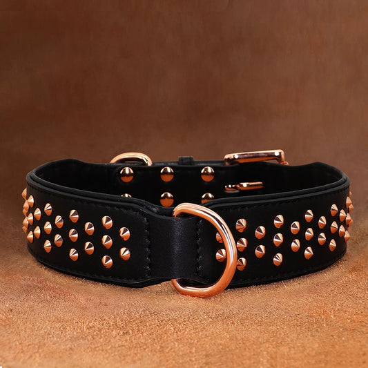 Black studded dog collar