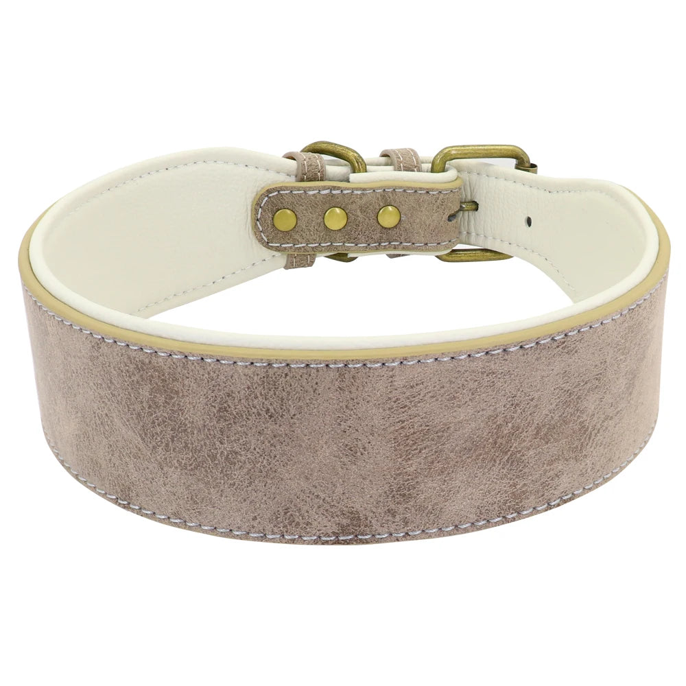 Grey leather dog collar