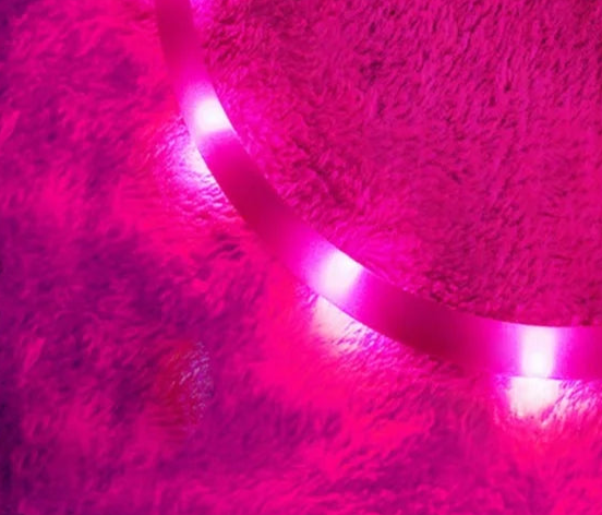 Glowing dog collars