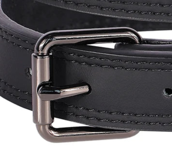 Thick leather dog collar