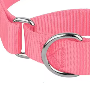 Pink martingale dog collar