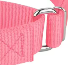 Pink martingale dog collar