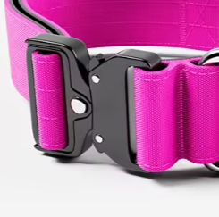 Small pink dog collar