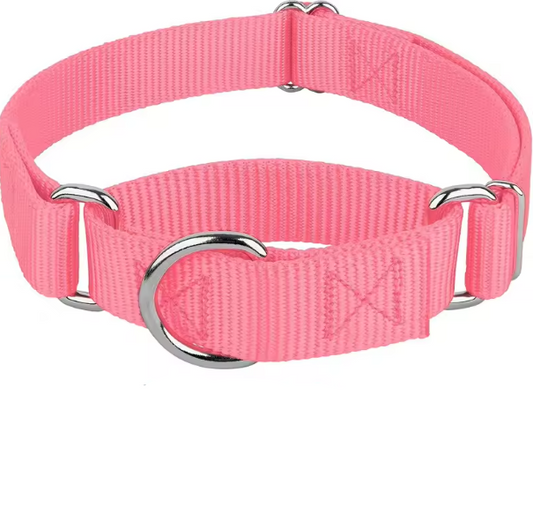 Pink martingale dog collar