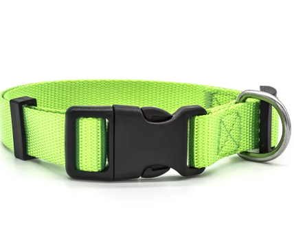 Lime green puppy collar