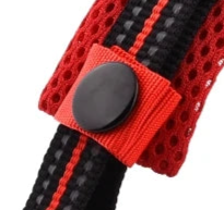 Comfortable padded dog collar