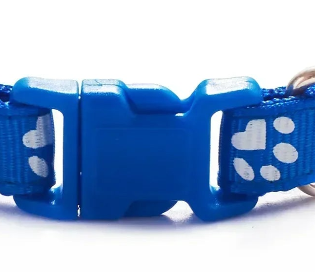 Clip on dog collar