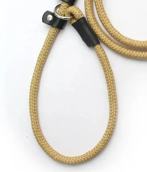 Rope style dog leash