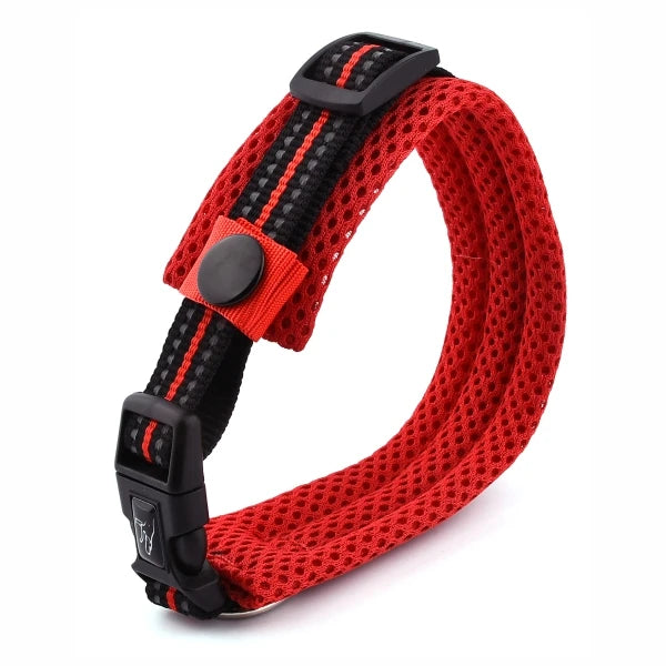 Comfortable padded dog collar