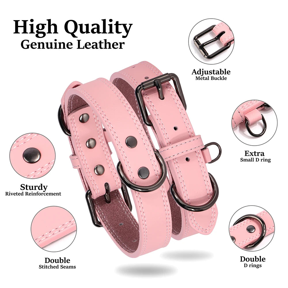 Large pink leather dog collar