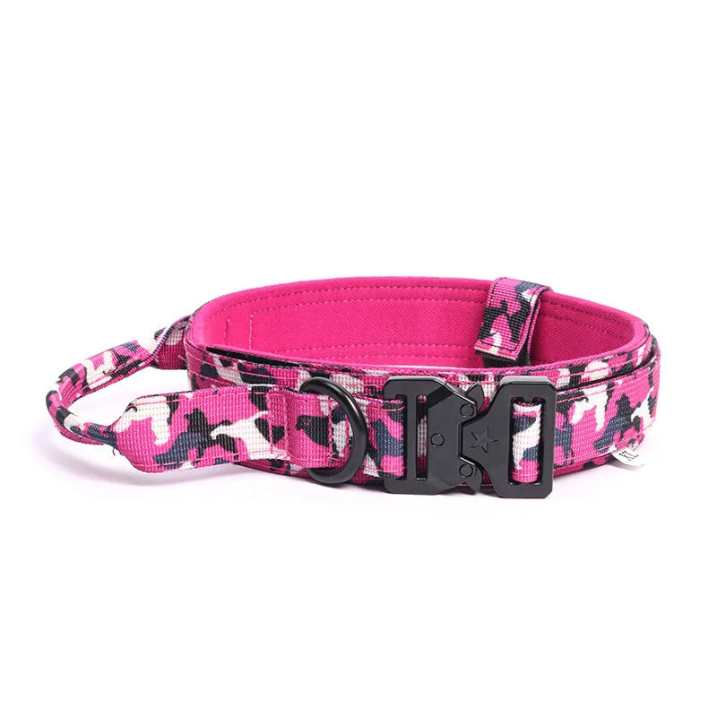 Funky dog collar