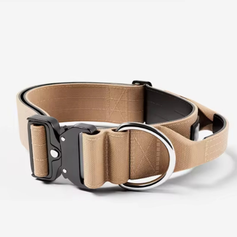 Light brown dog collar