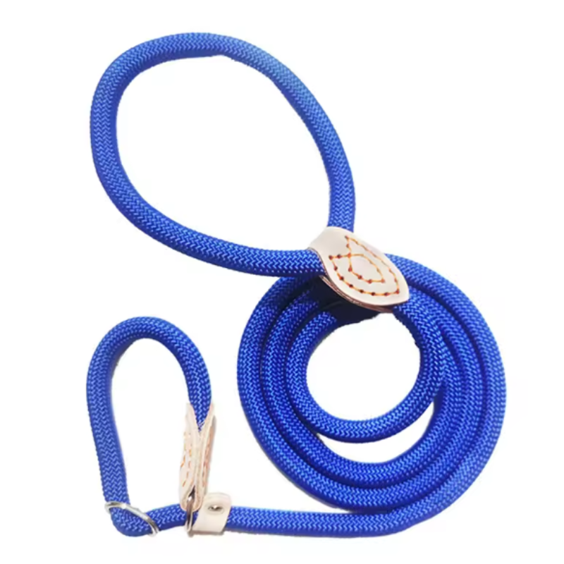 Male dog collar and lead